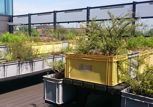 Dat dakterras?